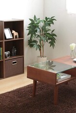 IRIS Planken, Boekenkast, Occasionele Meubels, CX-2, Bruin, W29 x D41,4 x H59,2 cm