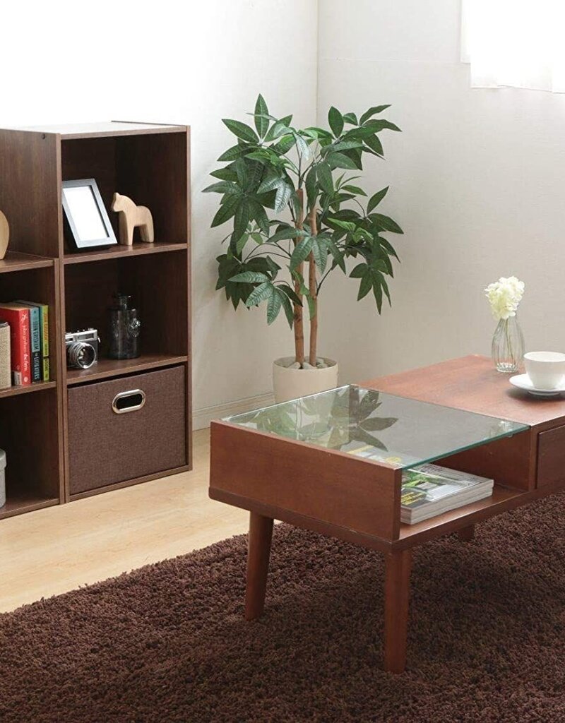 IRIS Planken, Boekenkast, Occasionele Meubels, CX-2, Bruin, W29 x D41,4 x H59,2 cm