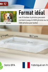 IRIS 10 fotoopbergdozen, capaciteit 100 elk, met handvat en veilige sluiting, KP-10