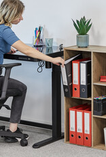 IRIS #FS]Basic Storage Shelf CX-23C A.Br