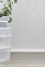 IRIS Kleine opbergdozen met deksel, 5L, Set van 3, Transparant, DDNTB-5