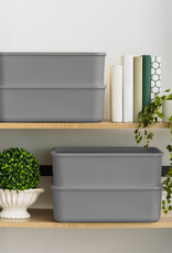 IRIS SNL-M x3 DIYGreyR/DIYGreyR box [EcA]