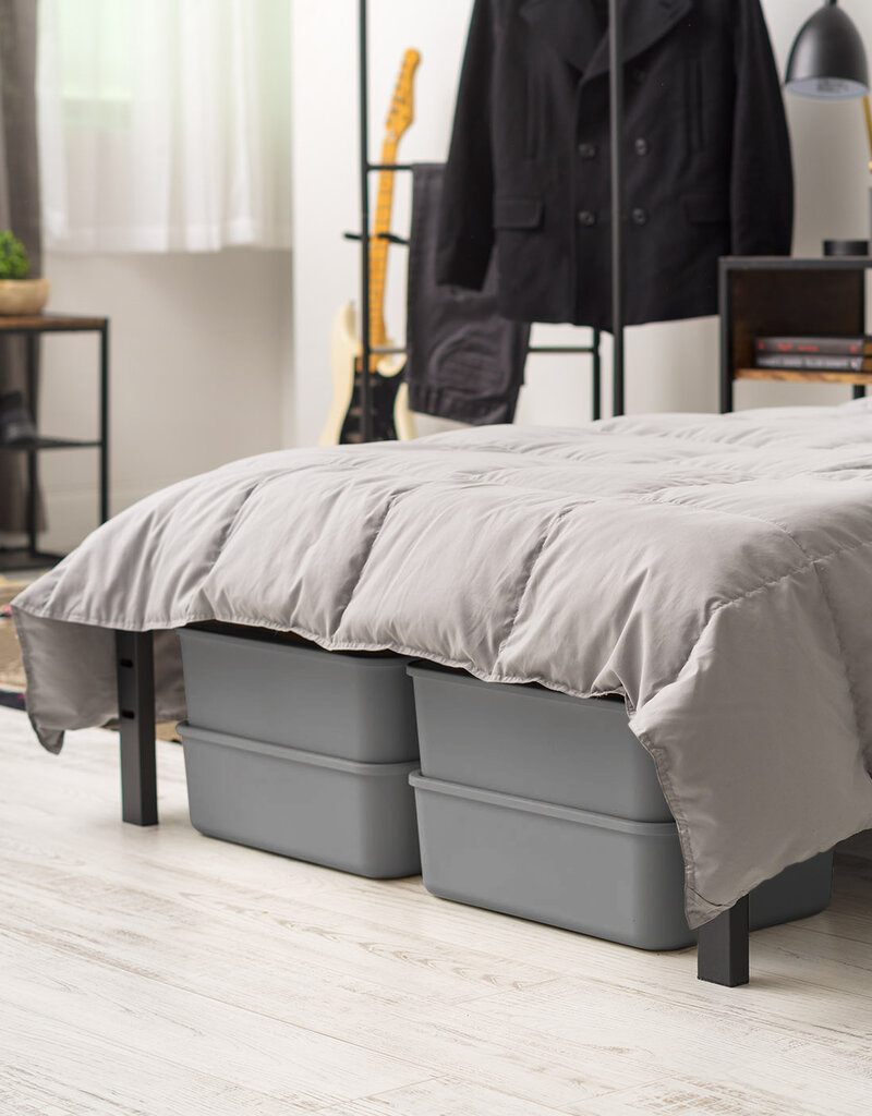 IRIS SNL-M x3 DIYGreyR/DIYGreyR box [EcA]