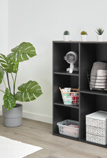 IRIS boekenkast, 5-compartiment plank, boekenkast, CX-23C, Black Oak, W29 x D60 x H87,9 cm