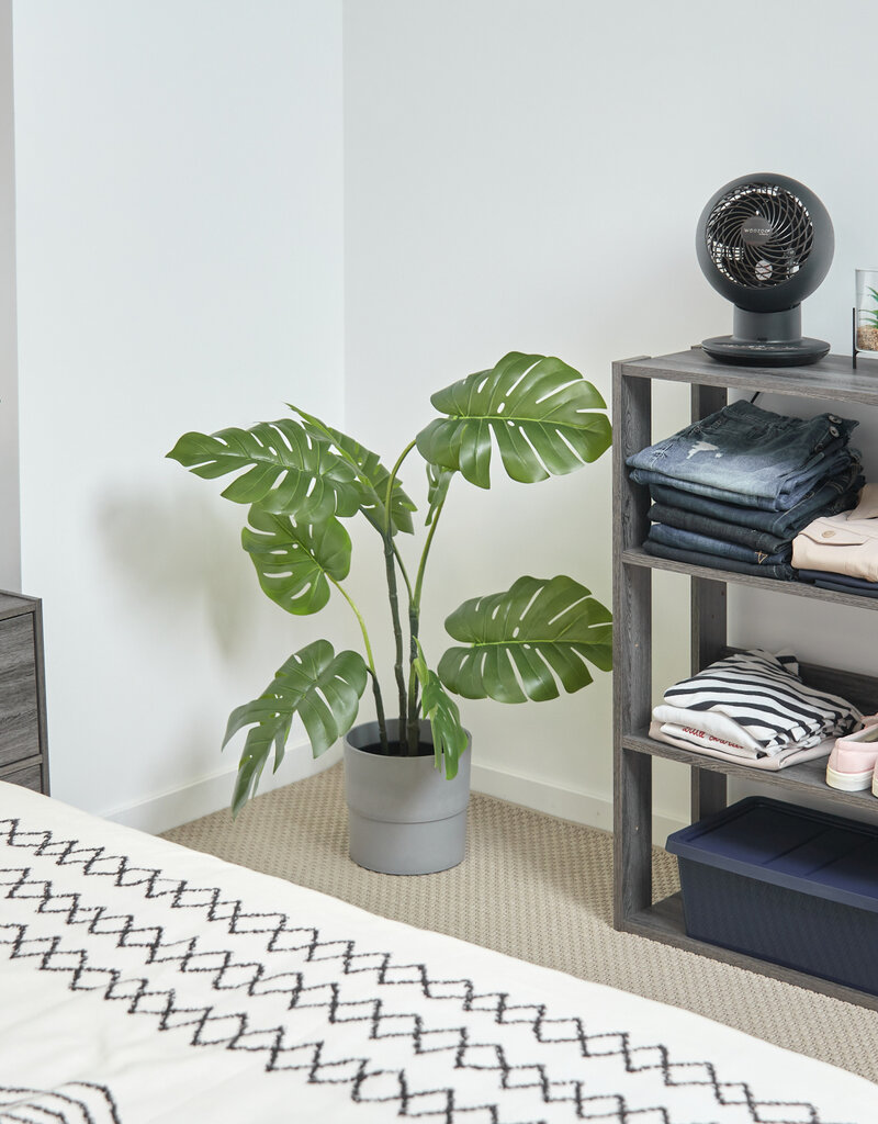 IRIS FS]Open Wood Rack OWR-600 Gr.Oak