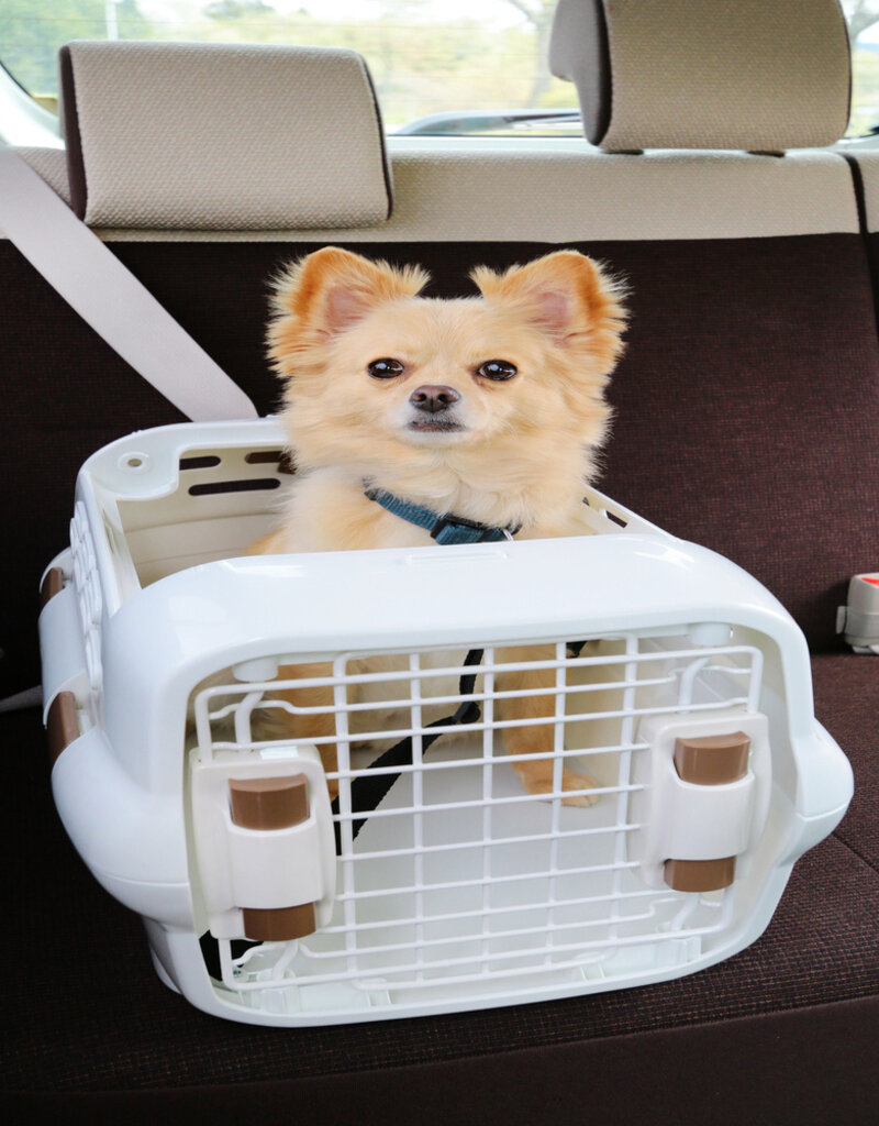 IRIS #Pet Drive Carrier PDPC-500 White