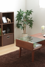 IRIS opslagplank, set van 2 opslagunits, boekenkast, CX-3, bruin