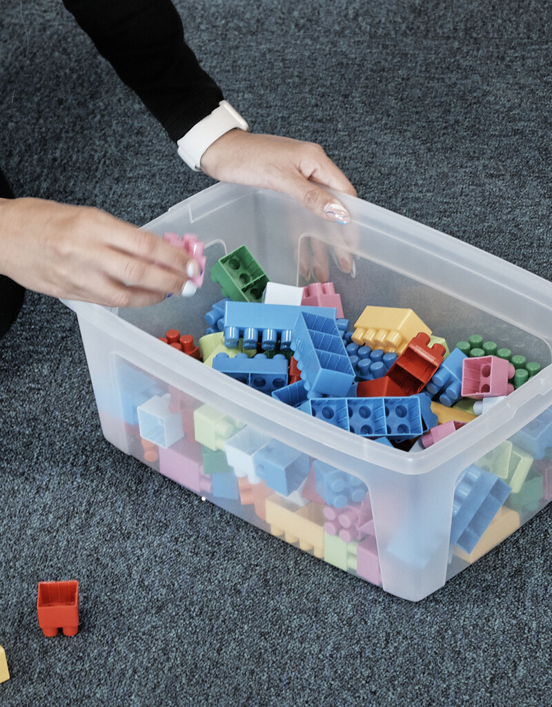 IRIS Multifunctionele Opbergdoos, Gerecycled Plastic, 11L, Pakje van 3, Doorzichtig, MCB-11