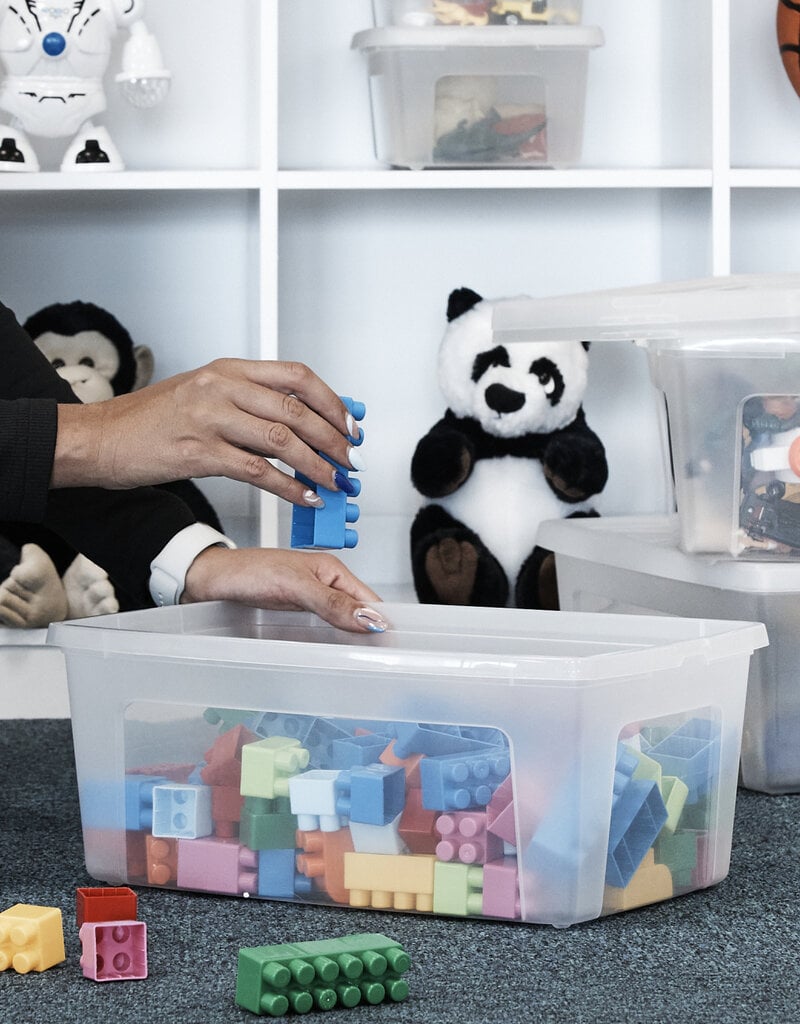 IRIS MCB-11 x3 CR/CR Box [EcA]