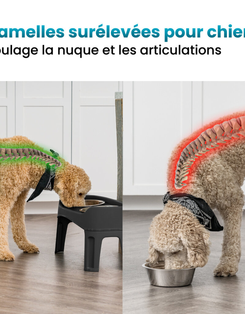 IRIS Dubbele Verhoogde Kommen, met Verwijderbare Standaard, voor Honden, PEF-L, Zwart