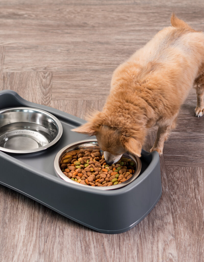 IRIS #Dog Feeder PEF-L I.Grey Box [EcA]