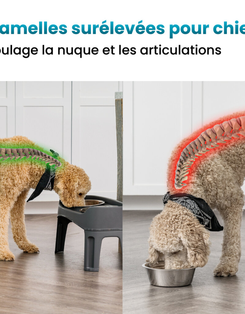 IRIS #Dog Feeder PEF-L I.Grey Box [EcA]