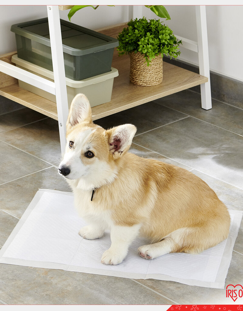 IRIS trainingsmat, voor honden en puppy's tot 3 kg, NS-100R, wit