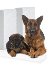 IRIS trainingsmat, voor honden en puppy's tot 25 kg, NS-100DW, wit