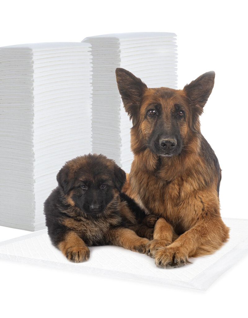 IRIS trainingsmat, voor honden en puppy's tot 25 kg, NS-100DW, wit