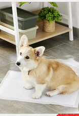 IRIS FS]Pet Sheet NS-100DW