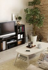IRIS TV-meubel, TV-meubel, TV-bank met scherm tot 43 inch, MDB-3S-Brown, W29 x D73,2 x H36,6 cm