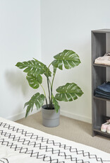 IRIS meubels, 6 opbergplanken, boekenkast, modulair, WOS-6, grijs eik, W26,5 x D68,9 x H109,4 cm