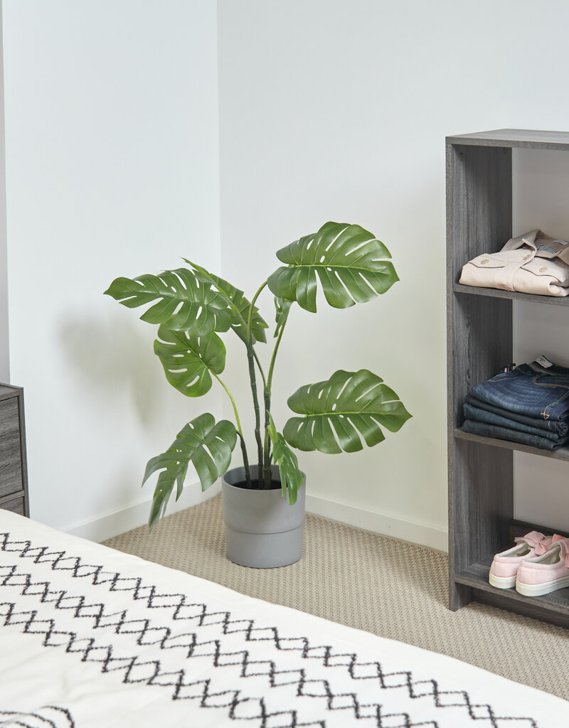 IRIS #FS]Wood Open Shelf WOS-6 Gr.Oak