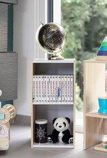 IRIS 2-plank opslagboekenkast, set van 2 accentmeubels, UB-6030, lichtbruin