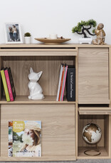 IRIS #FS]Flap Rack FR-F4 L.Br