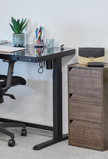 IRIS opslagkast, set van 2 houten opbergplanken met deuren, MDB-3D, bruin