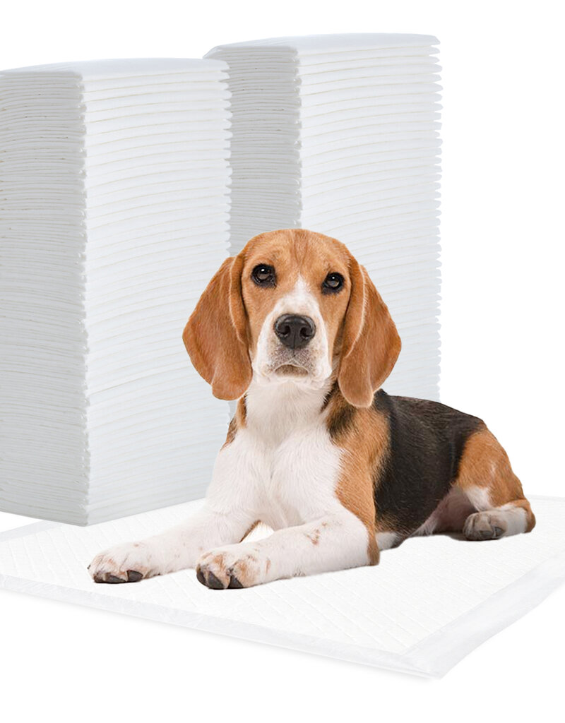 IRIS FS]Pet Sheet NS-100SQW