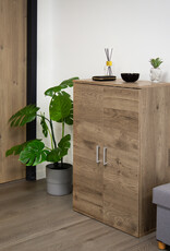 IRIS #FS]Shoe Cabinet SR-6035 A.Br