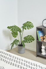 IRIS meubels, 4 opbergplanken, boekenkast, modulair, WOS-4, grijs eikenhout, W26,5 x D68,9 x H75,8 cm