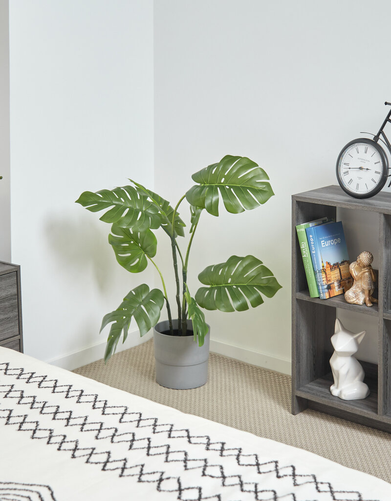 IRIS #FS]Wood Open Shelf WOS-4 Gr.Oak