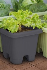 IRIS #Air Vegetable Planter 400 Grey