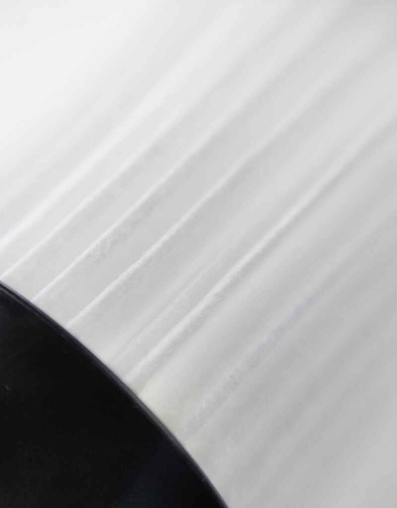 IRIS stoffilter, HEPA H12, voor stofzuiger SCD-160P, CFT55, wit