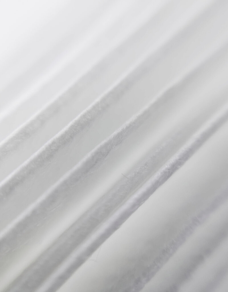 IRIS stoffilter, HEPA H12, voor stofzuiger SCD-160P, CFT55, wit