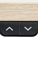 IRIS zit-sta-bureau, ergonomisch in hoogte verstelbaar bureauframe, USB-poorten, HADFRW, wit, W65 x D85 x H71 cm