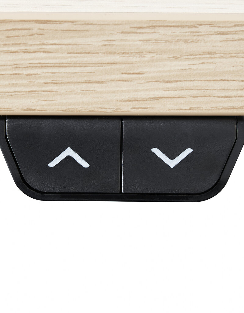 IRIS Electric Height Adjustable Desk HADFRW