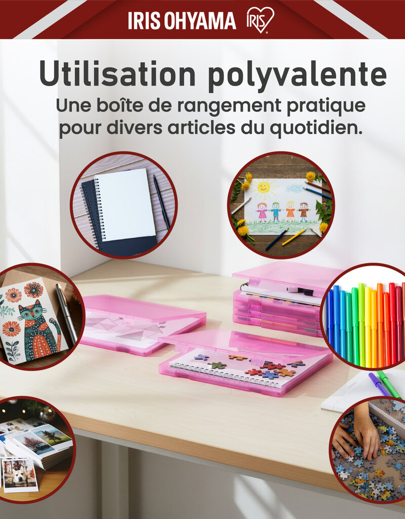 IRIS Documentenopbergdoos, Set van 4, Roze, Capaciteit van 150 A4-vellen elk, PJC-A4