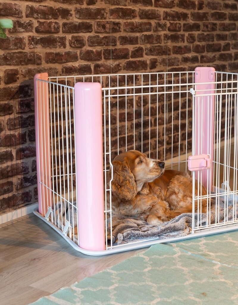 IRIS Puppy Playpen CLS-1130 - Pink