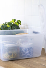 IRIS Top Box - 15 liters - set of 6 - TB-15 - Transparent