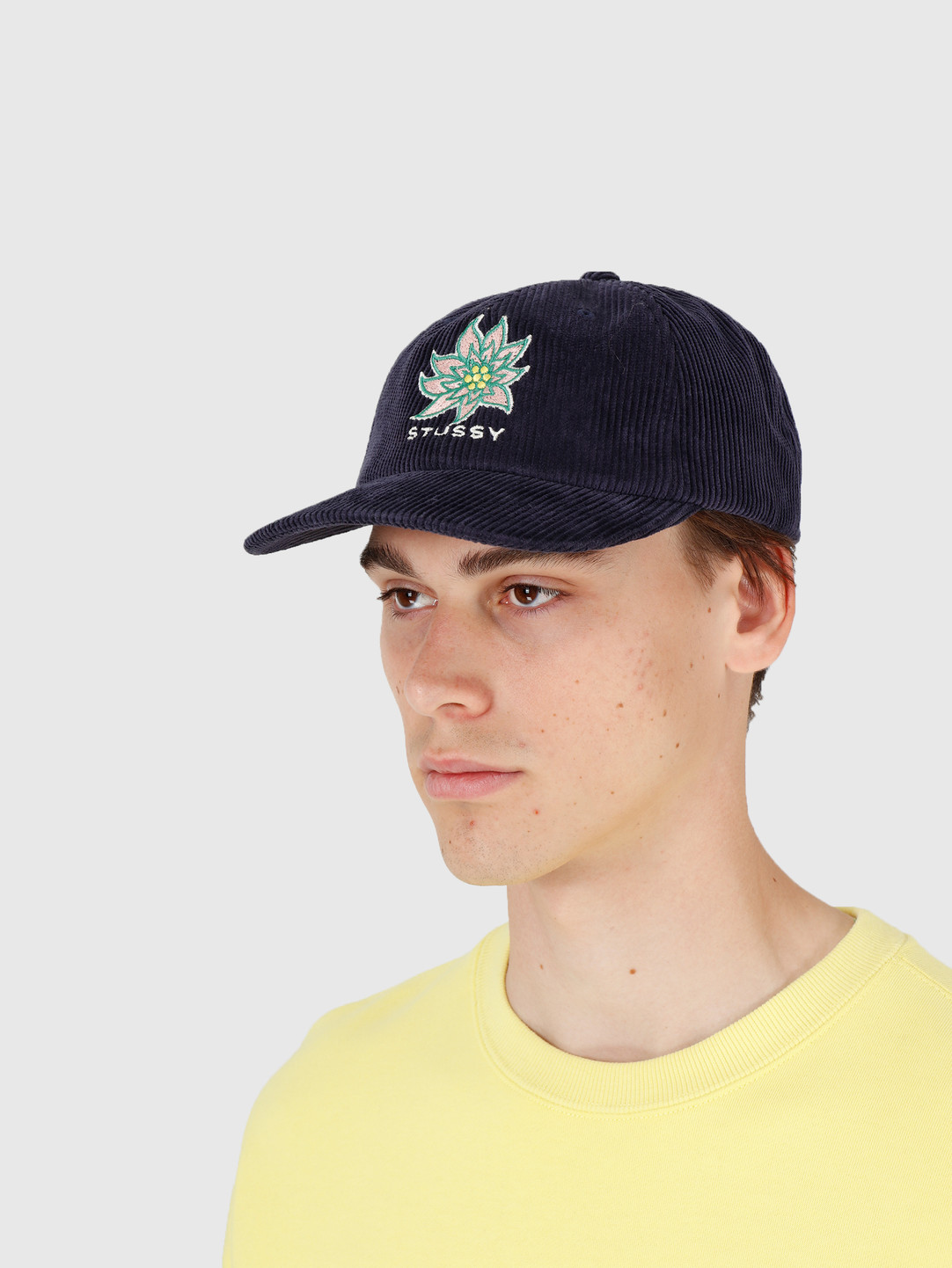 stussy low pro cap