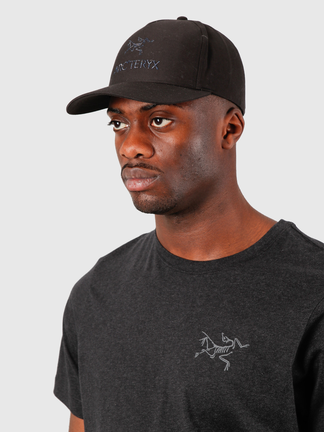 arcteryx multi crest ball cap