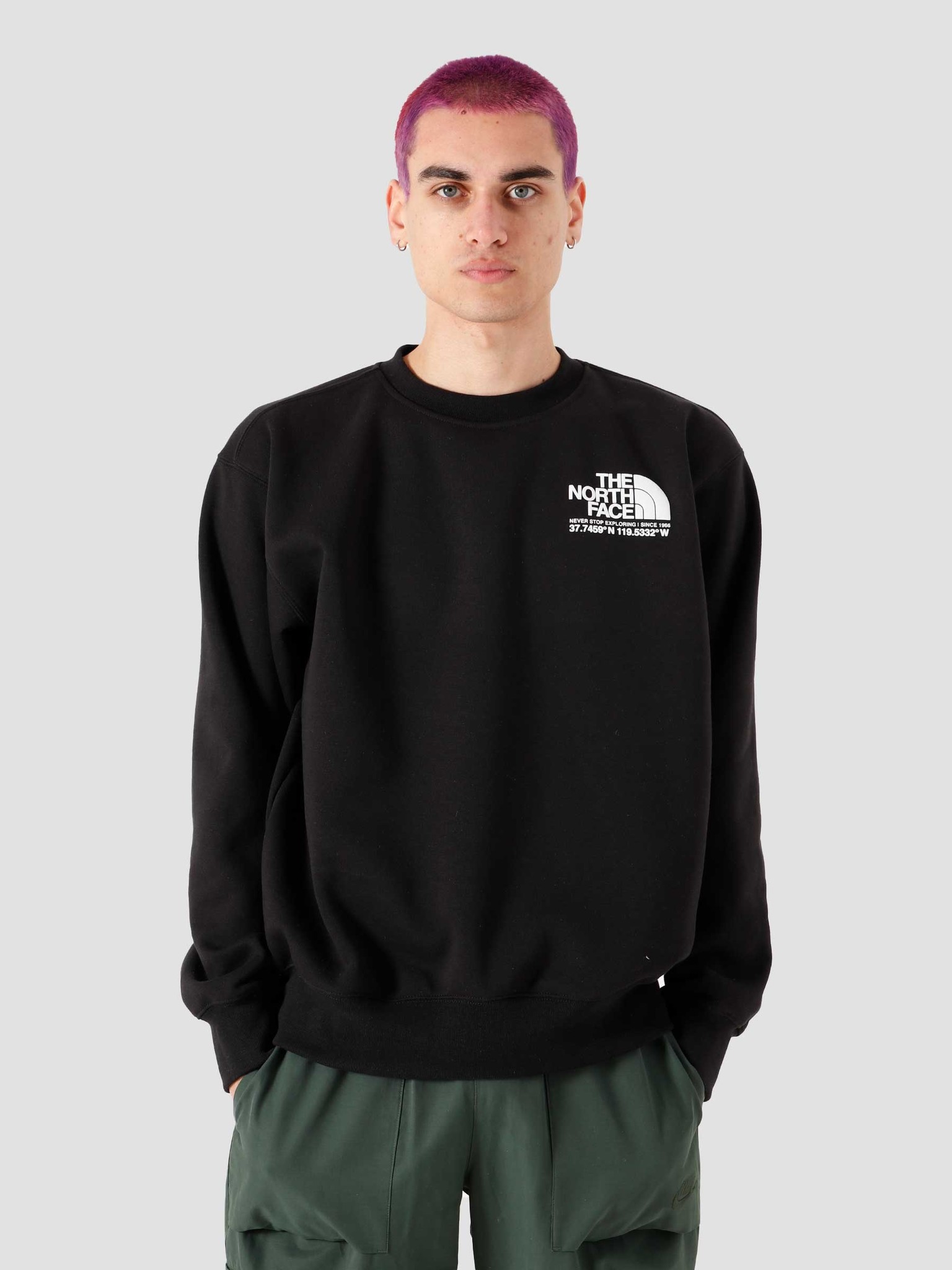 the north face coordinates crewneck sweatshirt