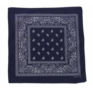 Meneer Bart Boeren zakdoek Rain drop 54x54 Meneer Bart Boeren zakdoek Rain drop 54x54