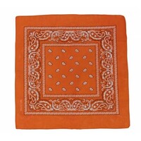 Boeren zakdoek Rain drop 54x54