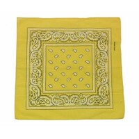 Boeren zakdoek Rain drop 54x54