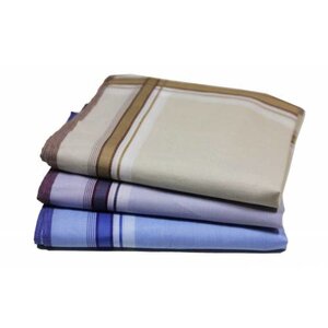 Tiseco Tiseco heren zakdoeken streep 12 stuks