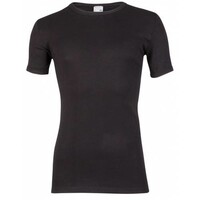 Beeren T-shirt k/m , Extra lang