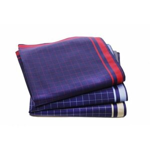 Swan Swan Heren zakdoeken, Blue Square, 6 stuks Swan Swan Heren zakdoeken, Blue Square, 6 stuks