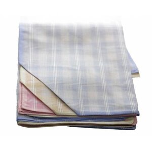 Winkler Winkler Dames zakdoeken witte ruitje 12 stuks Winkler Winkler Dames zakdoeken witte ruitje 12 stuks