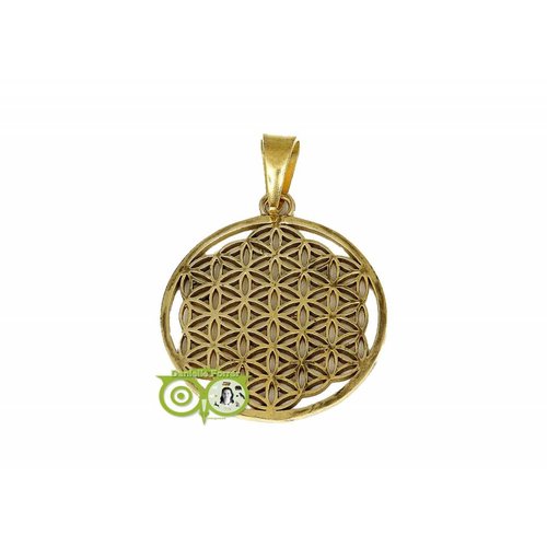 Bloem des Levens hanger messing goudkleurig (3 cm) ( Flower of Life) 