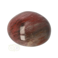 thumb-Versteend hout handsteen Nr 12 - 68  gram - Madagaskar-5